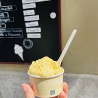 Pistacchio Vegan  at Natura Gelato in Trieste