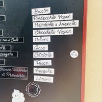 Vegan ice creams    at Natura Gelato in Trieste