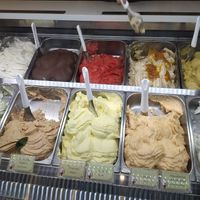 Most of the vegani flavours at Natura Gelato in Trieste