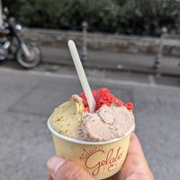 F at Natura Gelato in Trieste