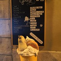  at Natura Gelato in Trieste