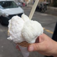  at Natura Gelato in Trieste