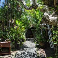 A walk to another seating area at Miro's Garden Restaurant in Ubud