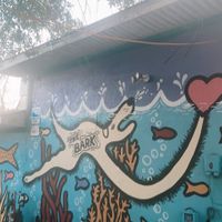 outside  at The Bark in Tallahassee