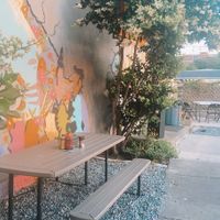 outside seating  at The Bark in Tallahassee