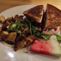  at The Bark in Tallahassee