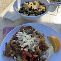   at The Bark in Tallahassee