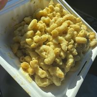 Mac n cheese  at The Bark in Tallahassee
