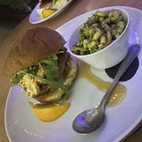   at The Bark in Tallahassee