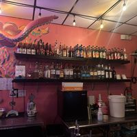   at The Bark in Tallahassee