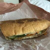   at The Bark in Tallahassee