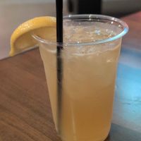 Water Moccasin at The Bark in Tallahassee