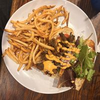   at The Bark in Tallahassee