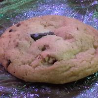 Pecan chocolate chip cookie at The Bark in Tallahassee