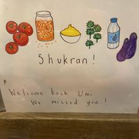 🌈   at Umi Falafel in Belfast