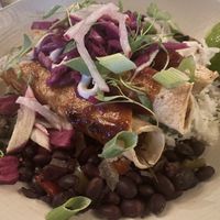 Mushroom enchiladas   at Harvest Seasonal Grill & Wine Bar in Moosic