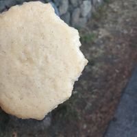 half eaten vegan ice cream sandwich (sorry!) at Cold Comfort in Victoria