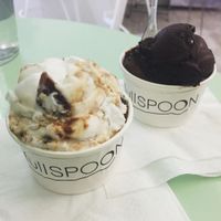 Coconut milk fig ice cream and half and half scoop of chocolate sorbet and chocolate coconut milk ice cream at Full Spoon in Athens