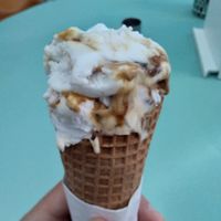 Fig at Full Spoon in Athens