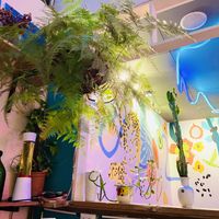 Colorful   at Huacamole Vegan Food in San Pedro