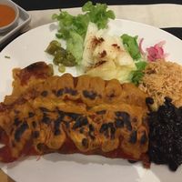 Vegan Cheese Enchiladas at Salsa Kitchen - Huay Kaew in Chiang Mai