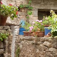  at La Mar de Vins in Mallorca