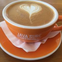 Caffeinated  at Java Surf Cafe & Espresso Bar in Virginia Beach