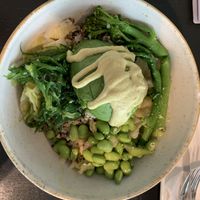 Green bowl   at Freiraum in Vienna