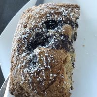 Vegan Blueberry and Banana muffin at Strata Cafe - The University of Auckland  in Auckland