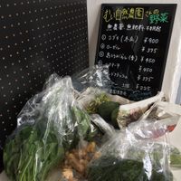 Fresh local produce, organic  at plant-HOLIC in Ginowan