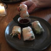 Rice paper rolls with tofu at Cafe Hanoi in Auckland