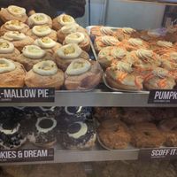 Crazy vegan doughnuts! at Doughnotts in Nottingham