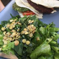 That salad I can eat it every day  at Solar Kitchen Bar in Larnaca