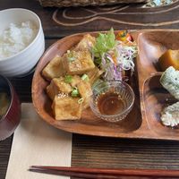 Teriyaki koya dofu plate  at Navo in Furano