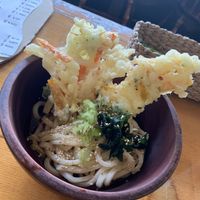 Cold udon with veggie tempura at Navo in Furano