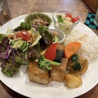 lunch plate (also included miso soup and appetizer not in the picture)  at Tofu Room Dy's in Tokyo