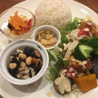 Vegan dish of the day with rice, seasoned tofu and vegetables, and Japanese side dishes at Tofu Room Dy's in Tokyo