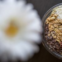 Bowls at Raw Republic in Mexico City