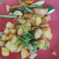 Vegan breakfast at Bird's Nest Cafe in Chiang Mai