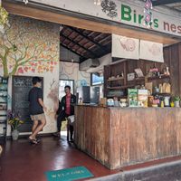  at Bird's Nest Cafe in Chiang Mai