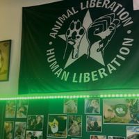   at Veggie Momi in Albufeira