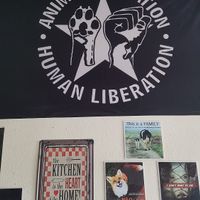 Decoration at Veggie Momi in Albufeira