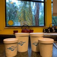 Brought home 2 quarts and 2 pints of vegan ice cream! at Ice Dreammm Shop in Lutz