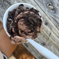A scoop of Vegan Double Chocolate Coconut & scoop Vegan Oreo ice cream with Oreos on top at Ice Dreammm Shop in Lutz