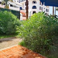 View at The Burger Cafe in Tenerife