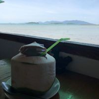 Fresh young coconut  at Prayai in Koh Samui