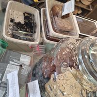 Cookies at Barbarella Juicebar in Ljubljana