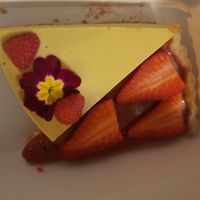 Mango and strawberry cheesecake at Barbarella Juicebar in Ljubljana