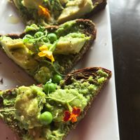 Avocado toast! at Harvest Seasonal Grill & Wine Bar in Harrisburg