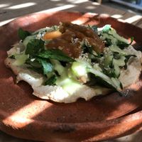 Tostado at Schizandra in Oaxaca